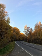 road in autumn