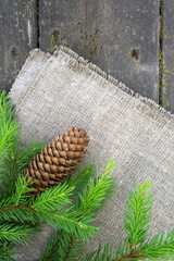 Green spruce branch with a cone on the wooden background with burlap
