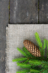 Green spruce branch with a cone on the wooden background with burlap