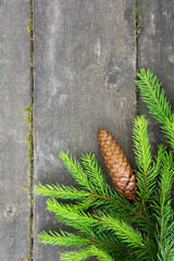 Green spruce branch with a cone on the wooden background