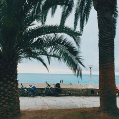 Processed with VSCO with c8 preset