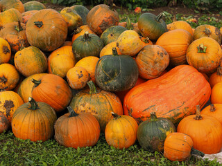 citrouilles multicolores entassées