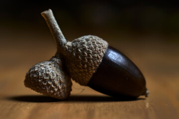 Brown acorn, next to an empty shell, on a wooden table