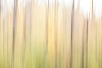 Fototapeta premium Abstract woods in autumn using intentional camera movement (ICM) 