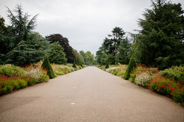 Landscape View of a Long Path Surrounded by Trees and Under a Cloudy Sky