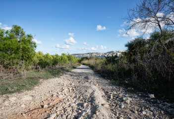 rough road in the woods, Bright day. pathway in nature with sea view.