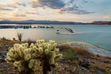 Plexiglas foto achterwand Lake Pleasant and marina during sunset in Arizona USA © Juliana Swenson