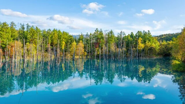 池に映る青空　環境イメージ　タイムラプス　ズームアウト