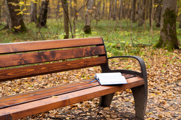 An open book lies on a park bench seat.