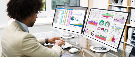 Business Data Analyst Using Computer