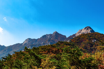 Naklejka premium Autumn of Bukhansan National Park, Seoul Korea
