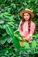 woman in a hat cut coffee plants