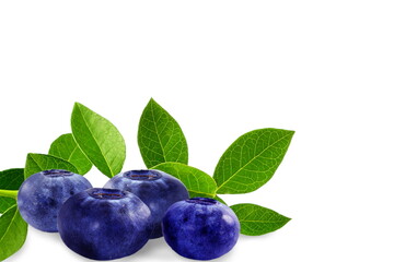 fresh blueberry fruit with leaves closeup in white background
