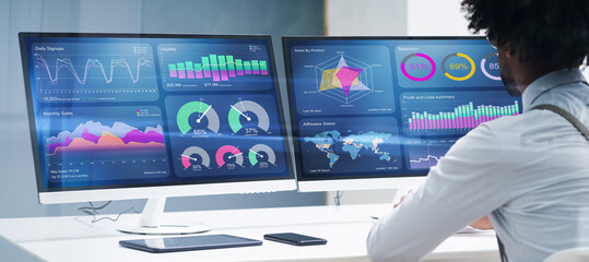 Business Data Analyst Using Computer