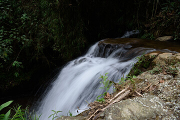 Fototapeta premium waterfall in the forest