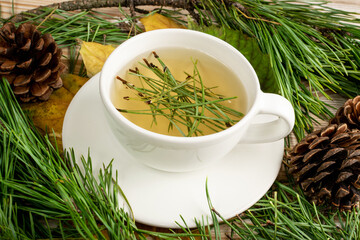Pine Needles Tea, Healthy Winter Vitamin C Beverage