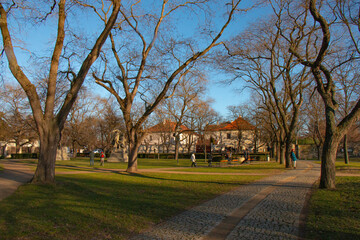 European park in spring blue sky