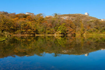 A pond near the city limits with reflections of adjacent high-rise buildings and autumn trees.