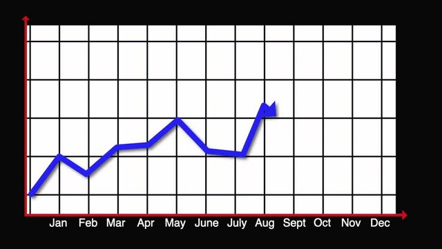 Animated twelve month progress graph
