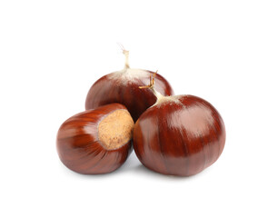 Fresh sweet edible chestnuts on white background