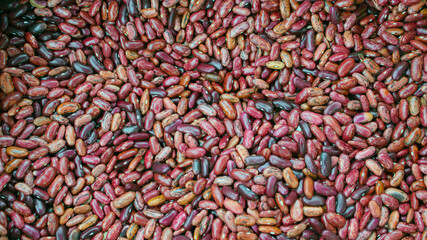 Multicolored beans background, many colorful dry beans, top view. Whole grain. Healthy protein food. Organic farm products.
