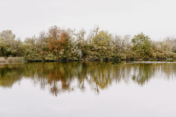 View of the autumn trees along the river bank.