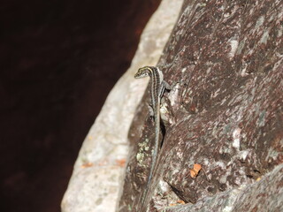 close up of a person holding a bottle of water