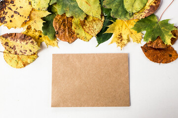 Naklejka na ściany i meble paper frame mockup for poster, print, painting, minimalistic interior, autumn leaves