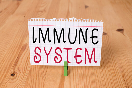 Word Writing Text Immune System. Business Photo Showcasing A Bodily System That Protects The Body From Foreign Substances Empty Reminder Wooden Floor Background Green Clothespin Groove Slot Office