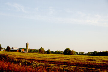 Obraz premium sunset over the fields