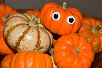 Halloween pumpkins and gourds decorations