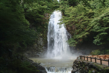 waterfall in the forest