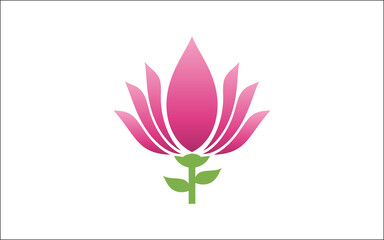 Illustration vector graphic of beautiful lotus flower-16
