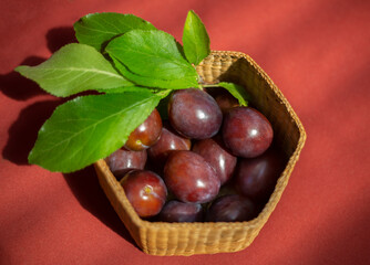 An isolated and sunlight dappled close-up view of black plums with green leaves in a basket against a rust colored background
