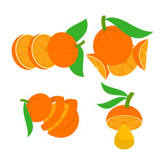 Orange illustration Design Slice Section Set