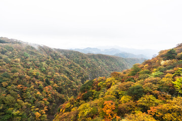 栃木県・奥日光・紅葉の秋