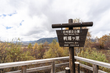 栃木県・日光・戦場ヶ原
