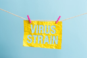 Word writing text Virus Strain. Business photo showcasing Another genetic variant derived from the...