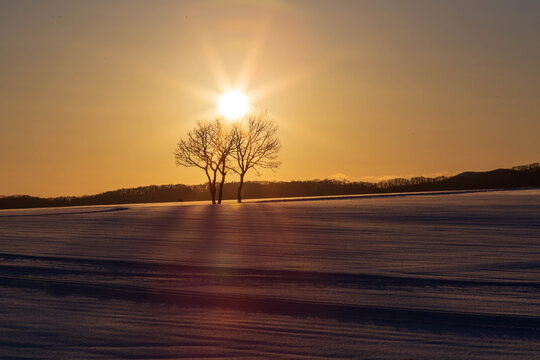 冬景色 Images Browse 39 176 Stock Photos Vectors And Video Adobe Stock 冬景色 Images Browse 39 176 Stock Photos Vectors And Video Adobe Stock