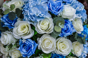 Obraz na płótnie Canvas Rose - Flower, Drop, Plant, Blue, Flower.
