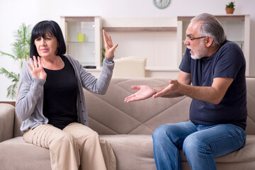 Old couple having argument at home