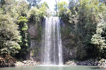 Millaa Millaa Falls Queensland Australia