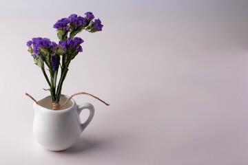 Purple flowers on a white background. Copy space.
