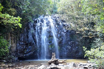 Ellinjaa Falls waterfall flowing Atherton Tablelands Queensland Australia