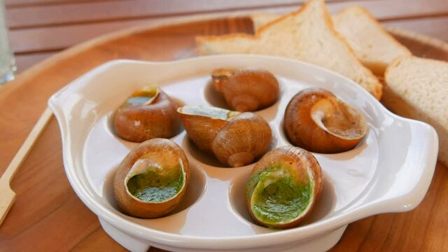A ready made dish of snails in a sauce on a special plate in a restaurant. Expensive and healthy food.