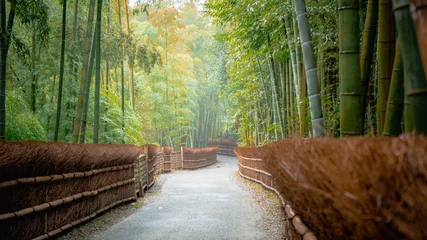 Badkamer foto achterwand Kyoto bamboo forest © O. Shota