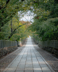 path in the woods to the shrine