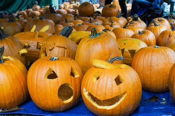 Lined up carving pumpkins for jack lantern - to be ready to halloween