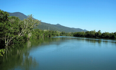 Fototapeta na wymiar view of the Mulgrave River tropical far north Queensland Australia