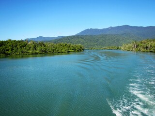 view of the Mulgrave River tropical far north Queensland Australia